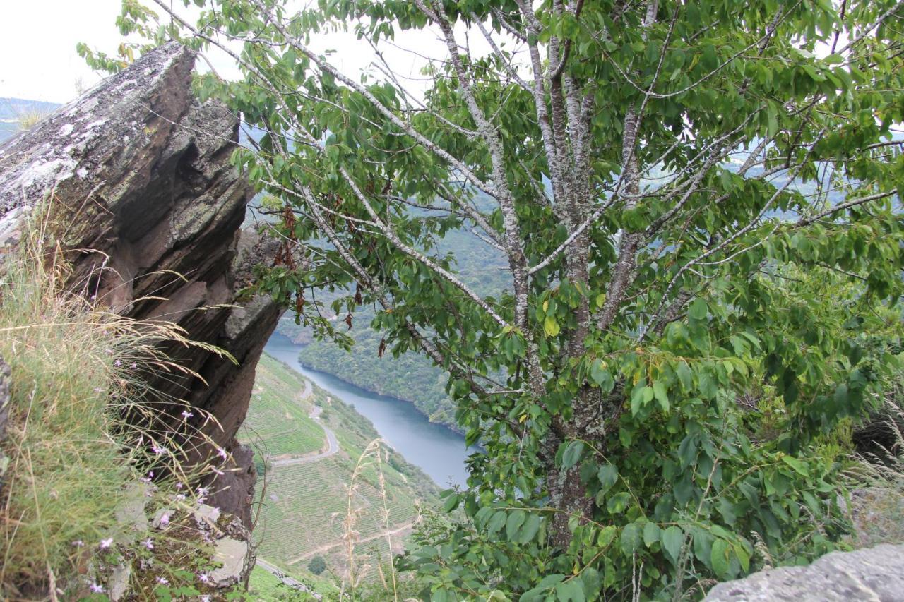 O Forno Casa Ferrador Ribeira Sacra Daire Sober Dış mekan fotoğraf